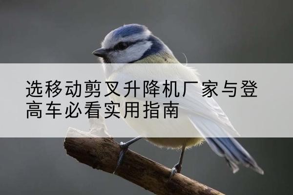 灵寿电动升降机厂家-选移动剪叉升降机厂家与登高车必看实用指南