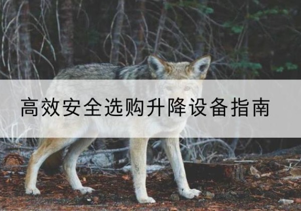 灵寿升降货梯厂家推荐-*安全选购升降设备指南