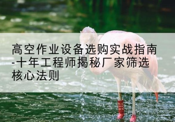 灵寿剪叉式升降机厂家-高空作业设备选购实战指南-十年工程师揭秘厂家筛选核心法则